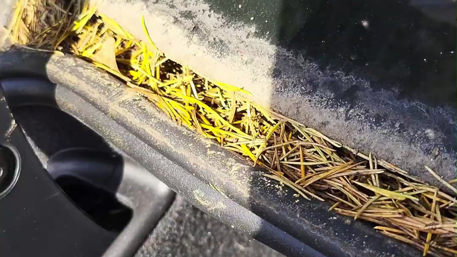 DETAILING DONE RIGHT!